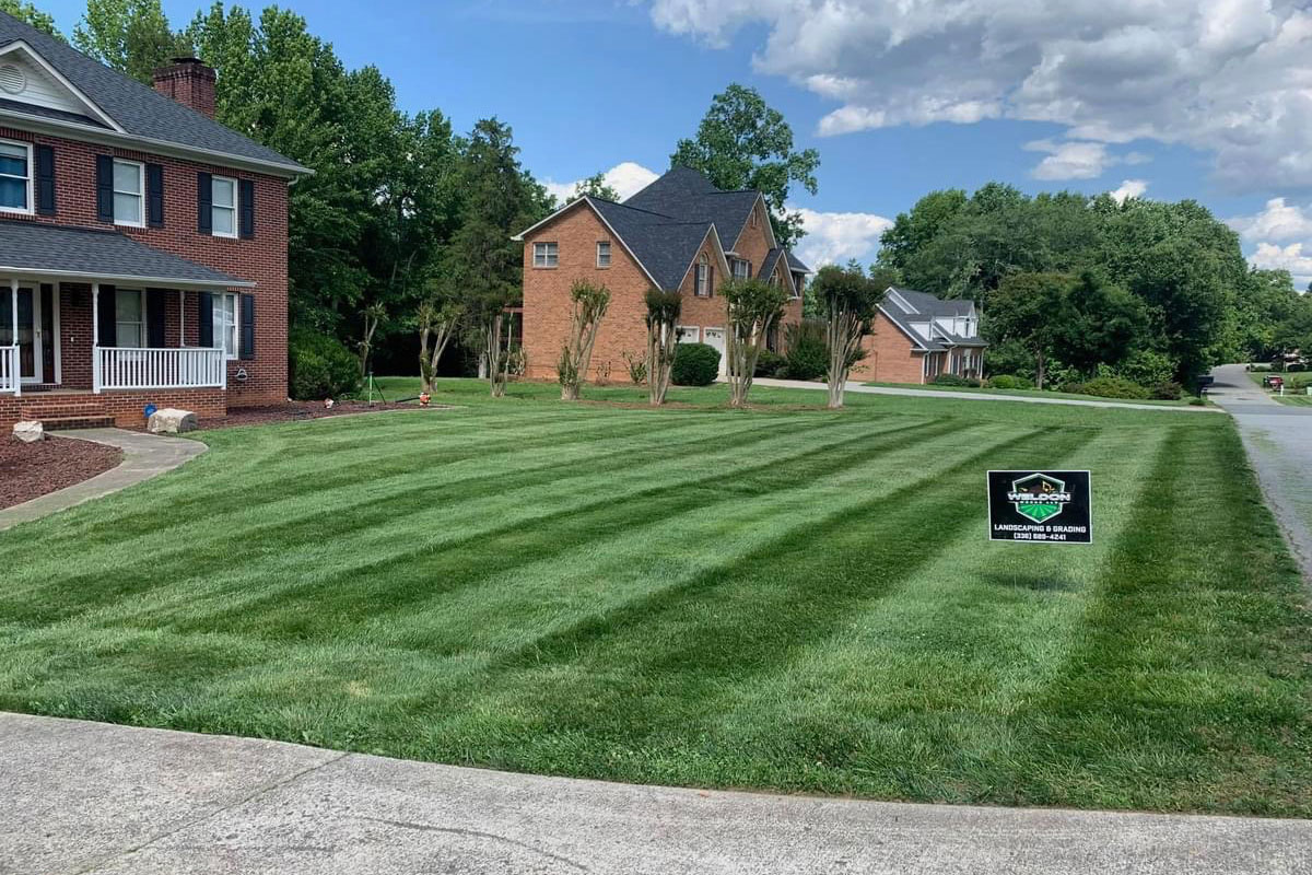 Landscaping and grading work