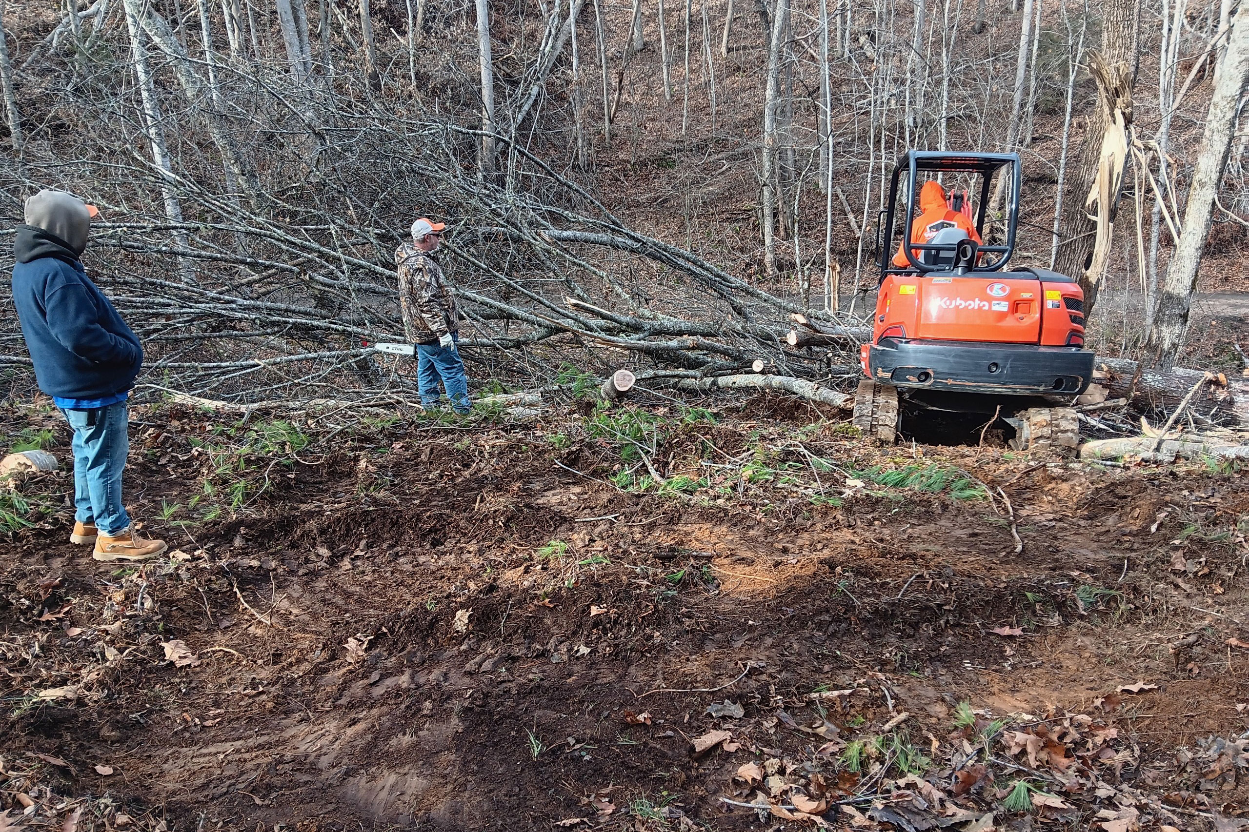 Seeding and lawn improvement