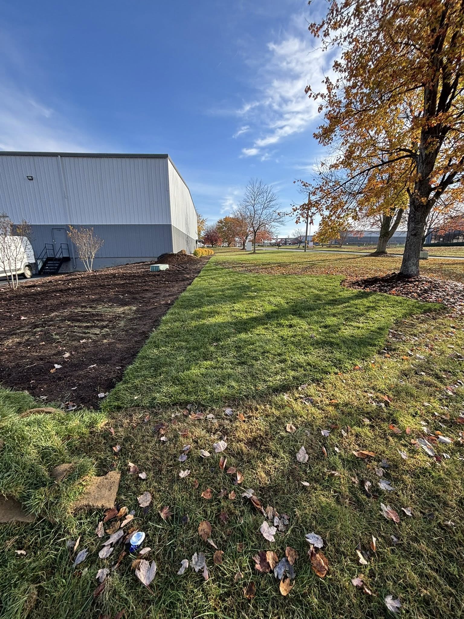 Lexington Mulch Project - before