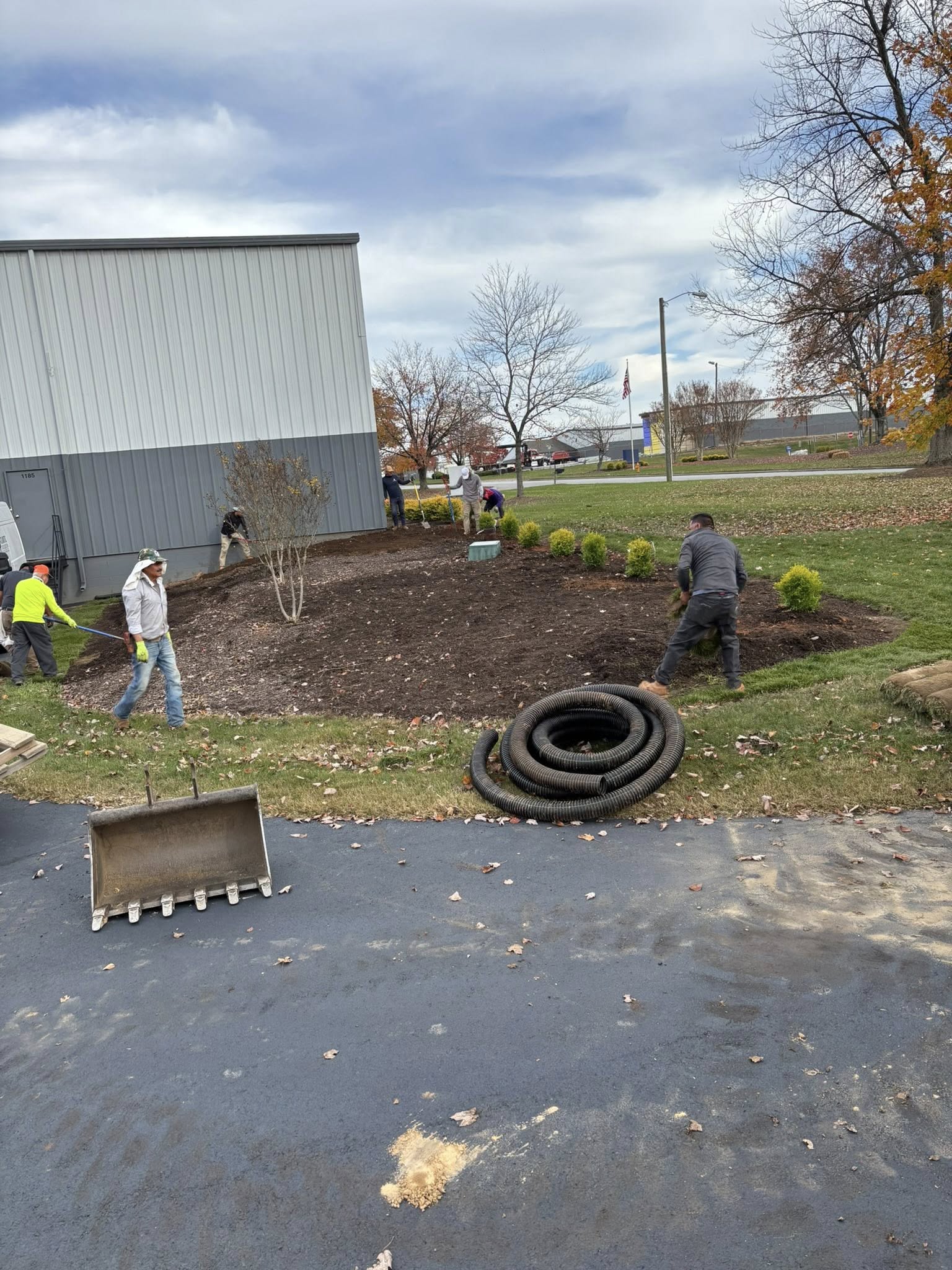 Lexington Mulch Project - after