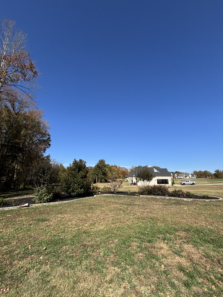 Landscaping project photo 4